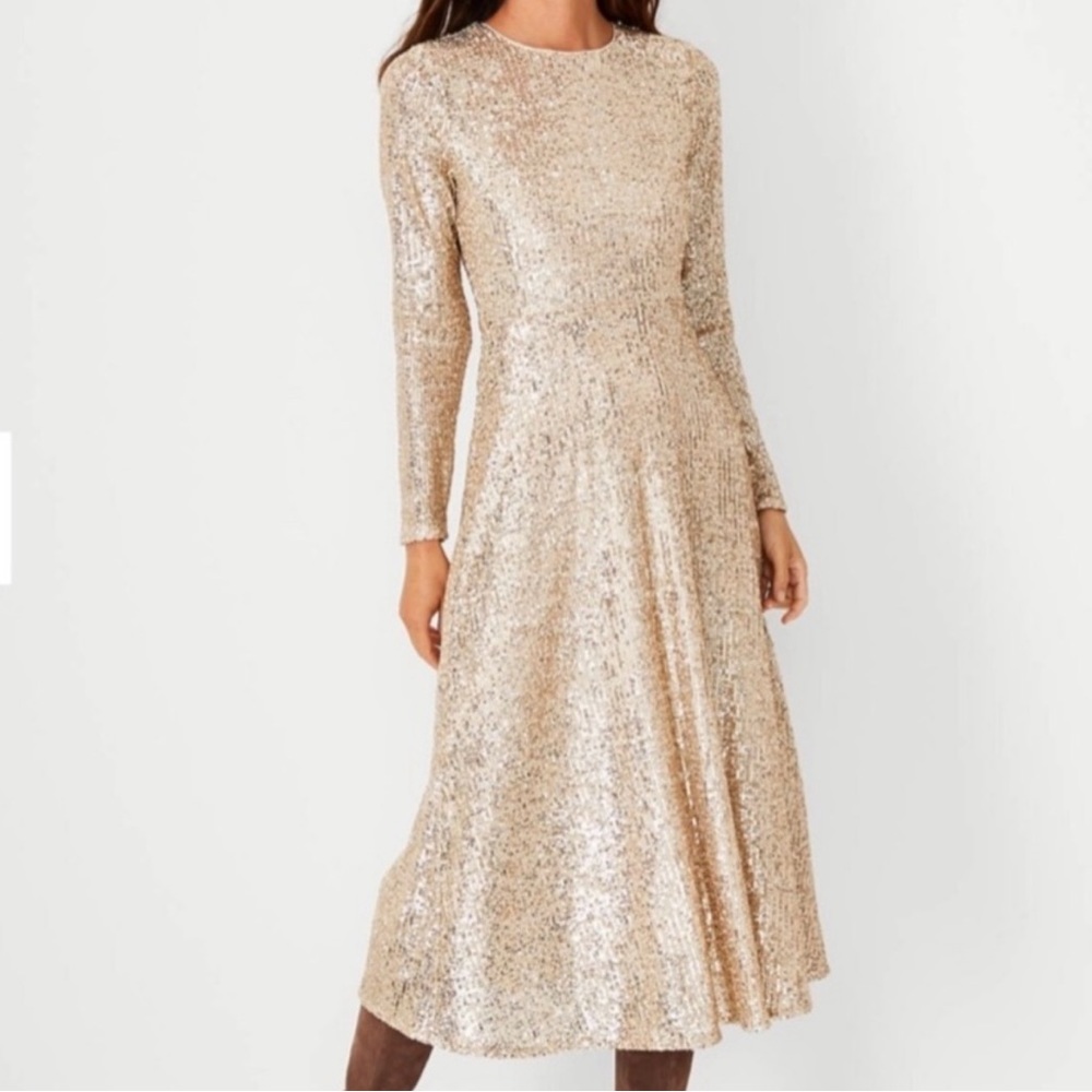 NEW Ann Taylor Sequin Long Dress